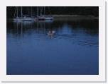 img_1987 * 2592 x 1944 * (1.3MB)