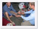 img_1992 * 2048 x 1536 * (744KB)