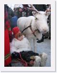 img_8771 * 2592 x 1944 * (2.21MB)