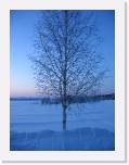 img_8808 * 2592 x 1944 * (1.49MB)