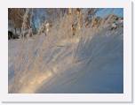 img_8847 * 2592 x 1944 * (2.12MB)
