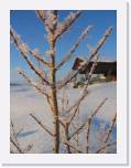 img_8848 * 2592 x 1944 * (2.17MB)