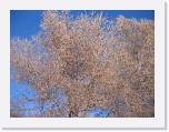 img_8859 * 2592 x 1944 * (4.12MB)