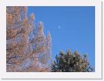 img_8861 * 2592 x 1944 * (2.92MB)