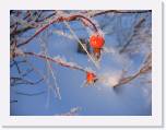 img_8865 * 2592 x 1944 * (1.96MB)